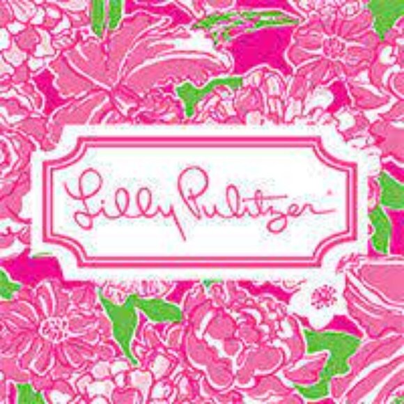 Lilly Pulitzer Sydnee Maxi Dress NWOT Sz Large - Picture 4 of 16